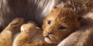 Il Re Leone (2018): arriva il trailer ufficiale! 5/5 (2) Trailer il Re Leone 2018